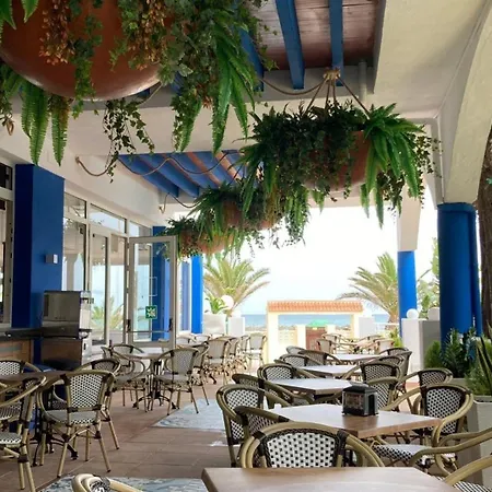 Evenia Zoraida Garden-2